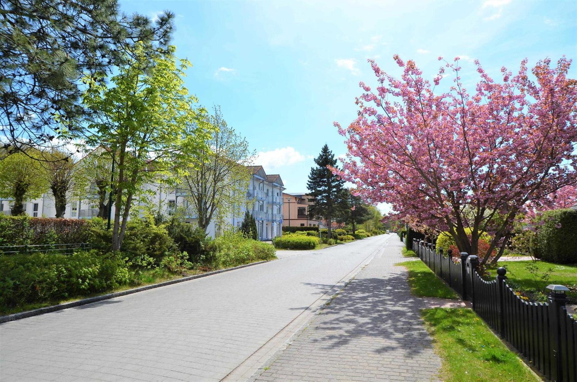 Ferienwohnung 300 Meter Zur Ostsee Graal-Mueritz Buitenkant foto